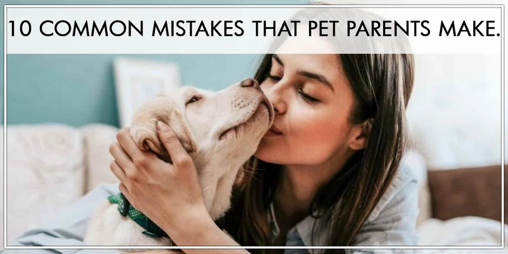 10 Common Mistakes Pet Parents Make